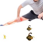 Matcha Powder Manufacturer - Green Tea Extract Joint Bone Health Fast Delivery