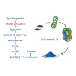 Blue Spirulina Powder Supplier - Phycocyanin Super Food Colorant Pet Food