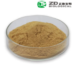 Hericium Erinaceus Extract Manufacturer - Hot Sale 10%-30% Polysaccharide