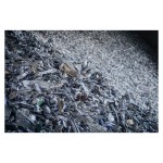 Aluminum Wheel Scrap Factory - 2024 Alloy Wheel Scrap Export