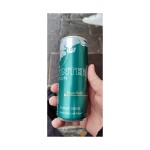 Red Bull Drink Supplier - Winter Edition 250ml Low-Fat Ginseng