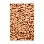 杏仁供应商 - 批量大包装优惠价格批发