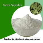 High Quality OEM Constipation Formula Prebiotics and Probiotics Special Diet Powder for Gut Health Support
