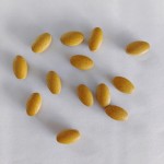 OEM Wholesale Herbal Extract Capsule Constipation Relief Comfortable Regular Stool Formation No Pain Diarrhea Intestinal Health