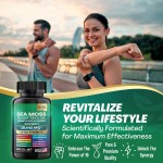 Factory-Batch Custom Sea Moss Capsules Food Grade Herbal Extract Supplements Vitamin-Infused Seaweed in Solvent Packaged Bottles