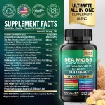 Factory-Batch Custom Sea Moss Capsules Food Grade Herbal Extract Supplements Vitamin-Infused Seaweed in Solvent Packaged Bottles