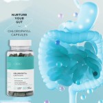 叶绿素胶囊生产厂家 - 体味控制草本营养清新