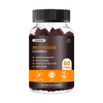 蘑菇软糖供应商 - 可定制纯素能量提升脑部免疫