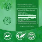 辣木胶囊供应商 - 批发关节免疫新陈代谢前列腺