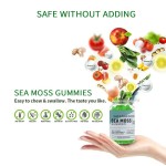 海苔软糖生产厂家 - 纯素天然无糖食品营养