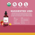 Zinc Supplement Drops Manufacturer - Wholesale Superior Organic Premium Mineral