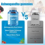 南非醉茄提取物粉供应商 - GMP清真优质批发价