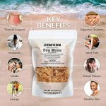 Irish Moss Gummy Manufacturer - Factory Direct Private Label Sea Moss Gel