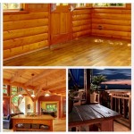 Tung Oil Factory - Refined CAS 8001-20-5 Natural Pure