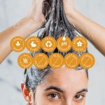 Dry Hair Shampoo Manufacturer - New Design Moisturizing Bar