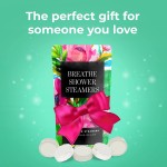 Shower Tablets Factory - 12 Pack Relaxation Aromatherapy