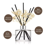 Rose Diffuser Supplier - Breeze Aromatherapy Home