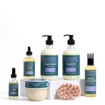 Hair Care Set Factory - Tee Tree Coconut Kit