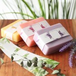 Foaming Soap Tablets Supplier - 12 Pack Biodegradable Sheets