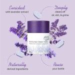 Multi-Purpose Cleaner Manufacturer - 12 Pack Biodegradable Surface