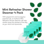 Shower Tablets Factory - 4 Pack Paraben Free Peppermint Eucalyptus Mint