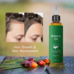 Scalp Oil Supplier - Vegan Mint Rosemary Batana
