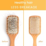 Ginger Shampoo Bar Supplier - Hair Moisturizing Repair