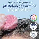 Shampoo Bar Set Supplier - 3 Pack pH Balanced Ginger