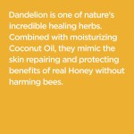 Vitamin C Lotion Manufacturer - Turmeric Brighten Repair