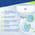 Lemon Cleaner Tablets Supplier - 24 Pack Sink Freshener