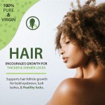 Castor Oil Serum Factory - Private Label Hexane Free Cold Pressed Eyelash