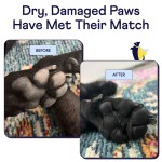 Bubble Bath Manufacturer - Glycerin Lavender Cedarwood