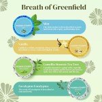 Shower Steamers Manufacturer - 8 Pack Organic Ingredients