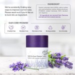 Multi-Purpose Cleaner Manufacturer - 12 Pack Biodegradable Surface