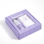 Air Freshener Supplier - Citrus Scent Home Deodorant