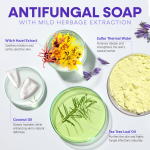 Antibacterial Soap Supplier - Private Label Lavender Tea Tree Anti Acne