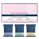 Shower Steamer Factory - Custom Christmas Holiday Bath Gifts 12-36 Pack