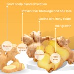 Ginger Shampoo Bar Supplier - Hair Moisturizing Repair