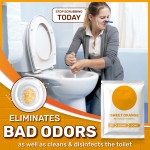 Toilet Cleaner Manufacturer - Foaming Deodorize Bathroom