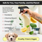 Cup Cleaner Tablets Manufacturer - 10 Pack Tea Maker Stain