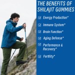 Shilajit Gummies Supplier - Supplement Manufacturer Energy Immune Ashwagandha