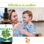 Alfalfa Drops Supplier - OEM Alcohol Free Herbal Tincture Faster Absorption