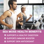 Sea Moss Liquid Drops Supplier - Oem Odm Bladderwrack Burdock Thyroid Immune