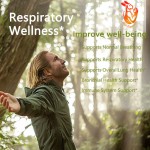 Lung Cleanse Capsules Factory - OEM Herbal Respiratory Health Breathing Support