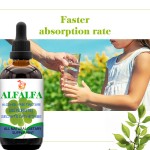 Alfalfa Liquid Drop Factory - Private Label Optimization Digestible Extract Liquid
