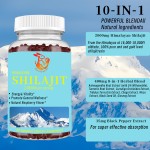 Shilajit Gold Gummies Factory - Good Quality Digestive Immune Healthy Himalaya