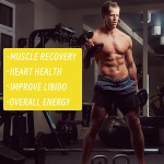 Honey Stick Factory - High Quality Natural Pure Vitamin C Energy Digestive