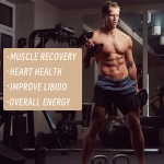 Honey Stick Supplier - Custom Organic Royal Jelly Immunity Health Men Women