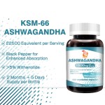 Ashwagandha Capsules Manufacturer - Private Label 1500mg KSM-66 Mood Balance Sleep