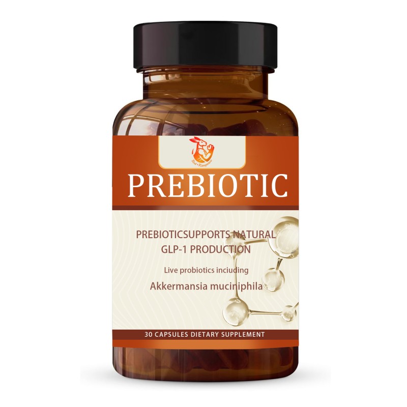 Probiotics Capsules Manufacturer - OEM Formula Digestive Prebiotic Women Men